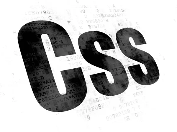 Database concept: Css op digitale achtergrond — Stockfoto