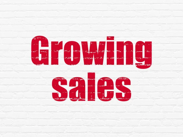 Conceito de negócio: Crescer as vendas no fundo da parede — Fotografia de Stock
