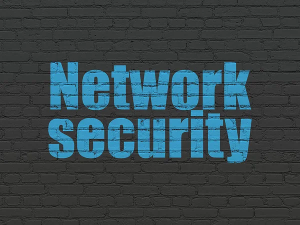 Security concept: Network Security on wall background — Stock Photo, Image