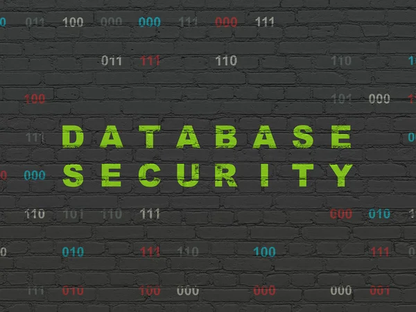 Protection concept: Database Security on wall background — Stock Photo, Image