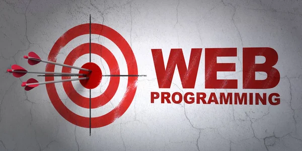 Concetto di sviluppo Web: target e Web Programming su sfondo wall — Foto Stock