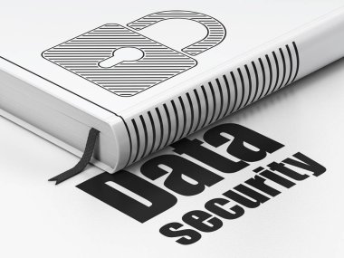 Emniyet konsepti: kapalı asma kilit, veri güvenliği beyaz arka plan üzerinde rezervasyon yaptırın