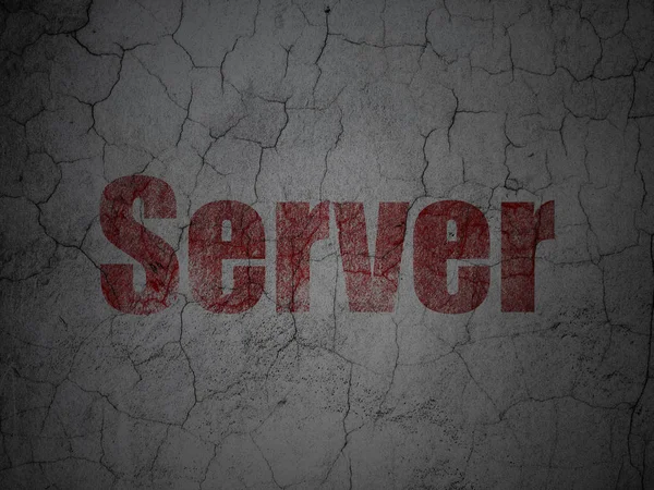Web ontwikkelingsconcept: Server op grunge muur achtergrond — Stockfoto