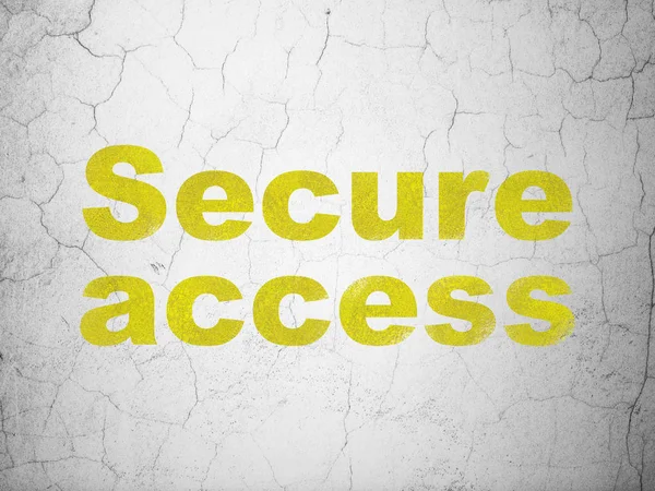 Protection concept: Secure Access on wall background — Stock Photo, Image