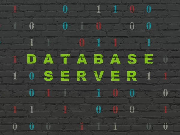 Konsep perangkat lunak: Server basis data dengan latar belakang dinding — Stok Foto