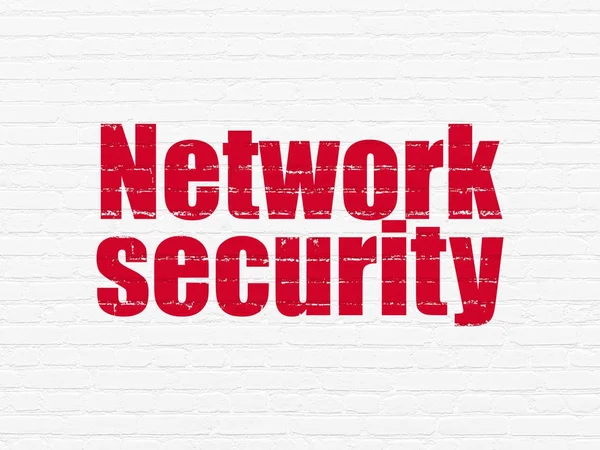 Koncepcja bezpieczeństwa: bezpieczeństwo sieci na tle ściany — Zdjęcie stockowe