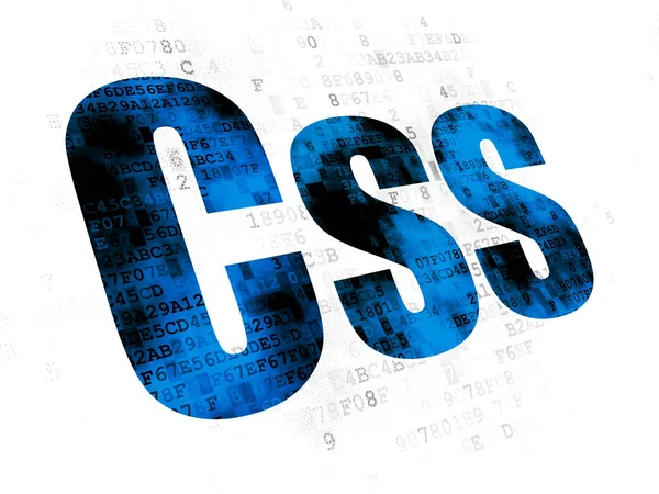 Software concept: Css op digitale achtergrond — Stockfoto