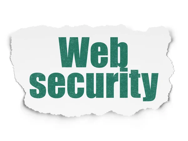 Sekretess koncept: Web Security på sönderrivet papper bakgrund — Stockfoto