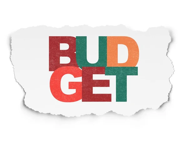 Pengar koncept: Budget på sönderrivet papper bakgrund — Stockfoto