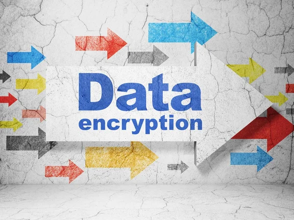 Protection concept: arrow with Data Encryption on grunge wall background — Stock Photo, Image