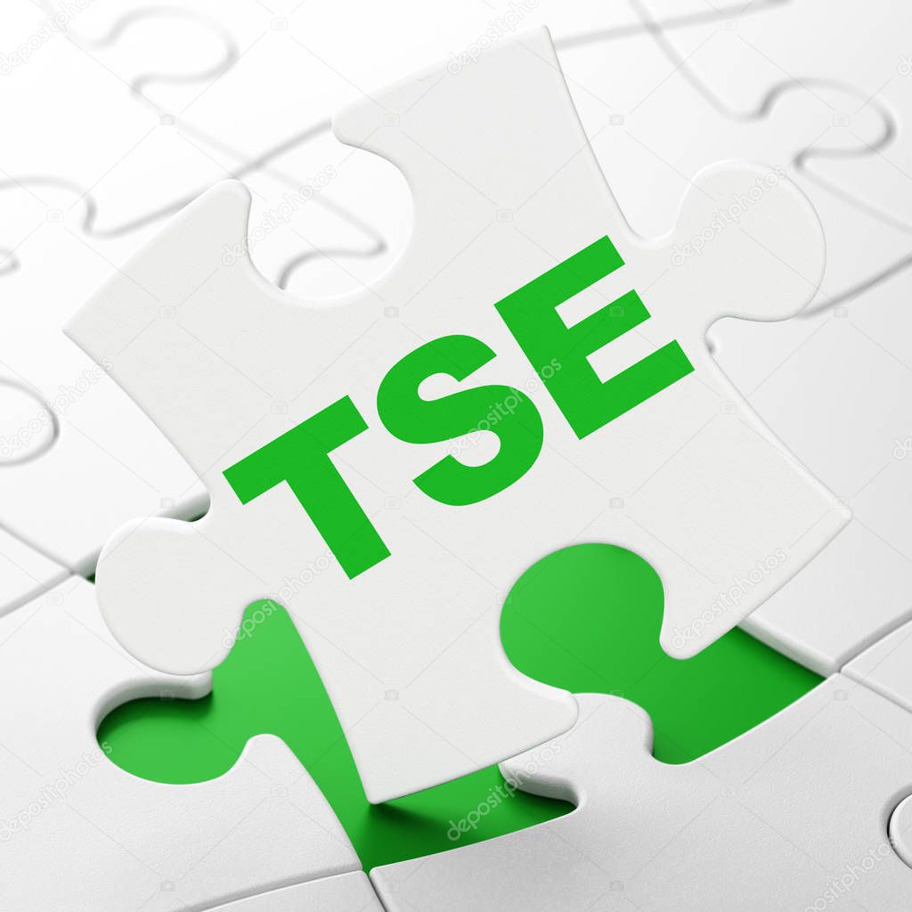 Stock market indexes concept: TSE on puzzle background