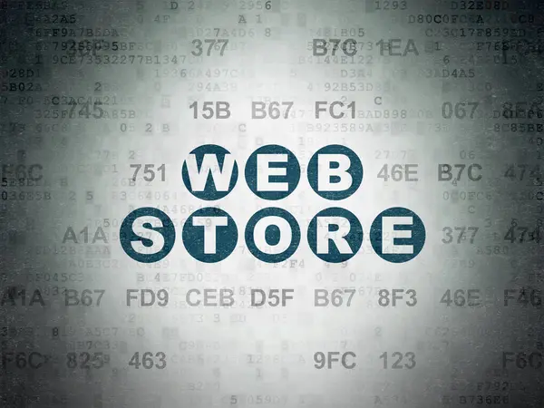 Conceito de Web design: Web Store on Digital Data Paper background — Fotografia de Stock