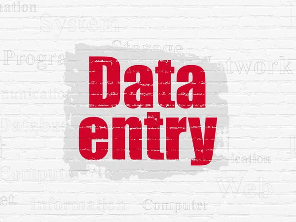 Information concept: Data Entry on wall background — Stock Photo, Image