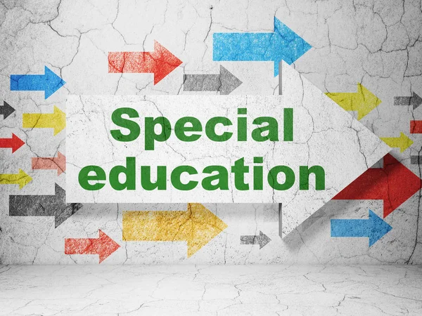 Education concept: arrow with Special Education on grunge wall background — Stock Photo, Image