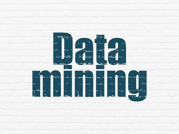 Concetto di informazione: Data Mining sullo sfondo della parete — Foto Stock