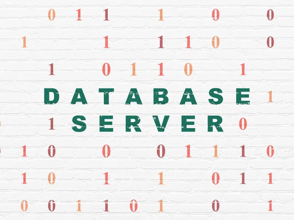 Concetto di programmazione: Database Server sullo sfondo della parete — Foto Stock