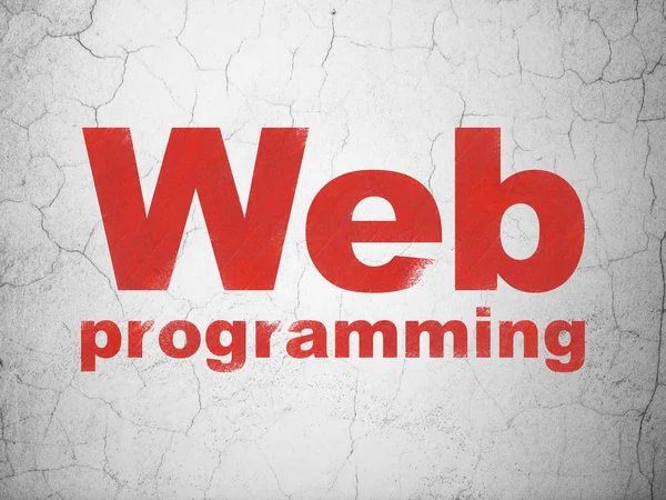 Web 開発コンセプト: 壁の背景に Web プログラミング — ストック写真