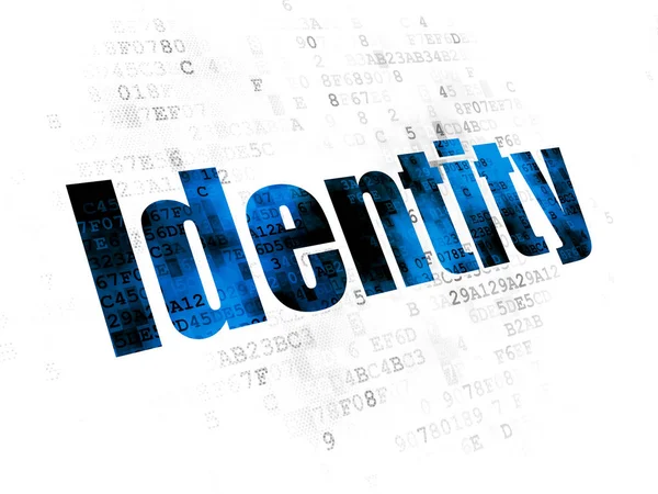 Veiligheidsconcept: identiteit op digitale achtergrond — Stockfoto