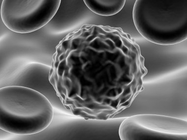 Yeni solunum Coronavirus 2019-ncov 'un mikroskobik görüntüsü.