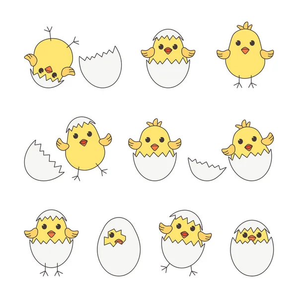 Мультяшные Яйца Цыплят Раковин Желтые Цыплята Векторная Иллюстрация — стоковый вектор