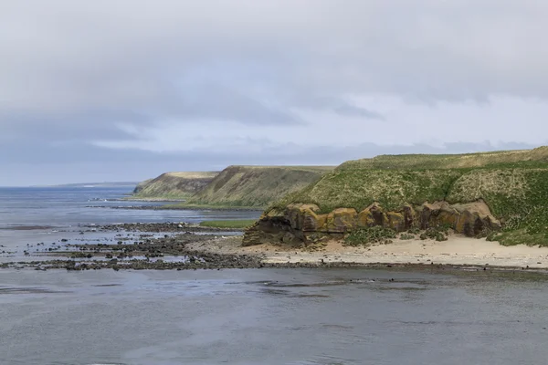 Steilküste der Insel Bering sonniger Sommertag — Stockfoto