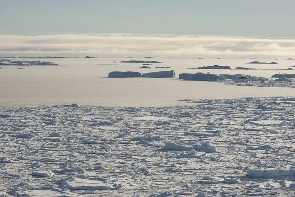 Cubierto de hielo e icebergs cerca de la Península Antártica el s —  Fotos de Stock