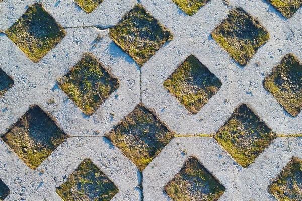 Çim ile beton ızgara