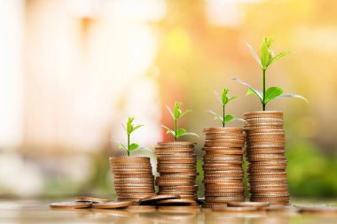 Adım ağaç gelişen üst, doğa arka plan, para, para yığınları / kaydetme ve siluet sesi flare yatırım veya aile planlaması kavramı, güneş üzerinde.