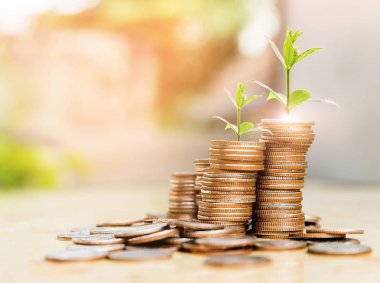 Adım ağaç gelişen üst, doğa arka plan, para, para yığınları / kaydetme ve siluet sesi flare yatırım veya aile planlaması kavramı, güneş üzerinde.