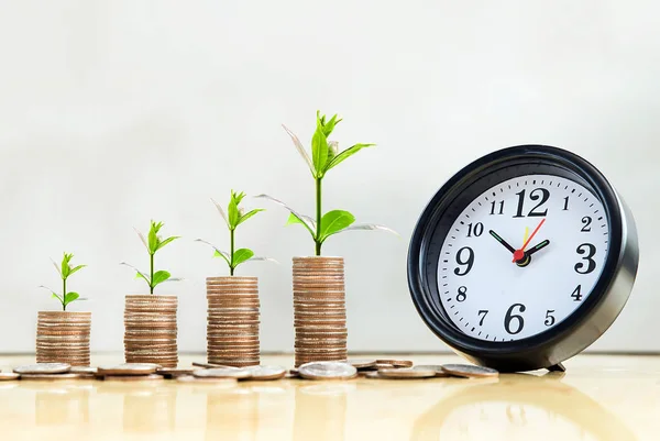 Çalar saat ve para yığınları ağaç üzerinde top, loft tarzı arkaplan, para, gelişen adımında tasarruf ve yatırım veya aile planlaması kavramı.