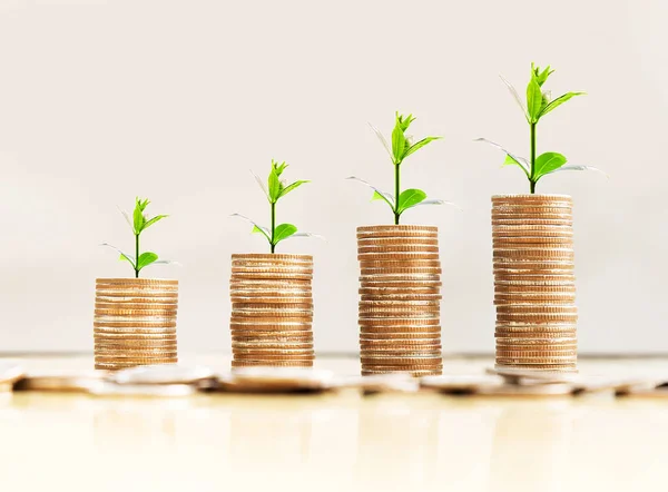 Adım para yığınları ağaç üzerinde top, loft tarzı arkaplan, para, gelişen, tasarruf ve yatırım kavramı.