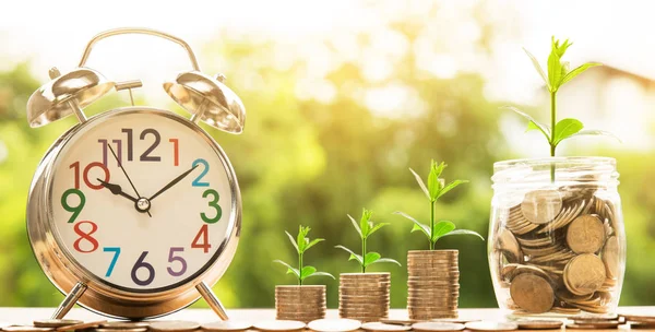 ahşap ev modeli ve adım ağaç gelişen üst ve saat alarm, doğa arka plan, para, para yığınları / kaydetme ve siluet sesi flare yatırım veya aile planlaması kavramı, güneş üzerinde.