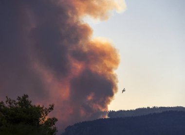 Yunanistan 'ın Evia adasında yangın ve yangın dumanının arka planında yangın uçakları