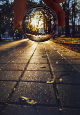 Stavropol, Rusya 'da gün batımında aylaklarla ve turistlerle dolu bir park manzarası.