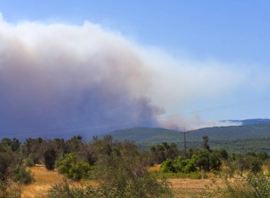 Yunanistan 'ın Evia adasında yangın ve yangın dumanının arka planında yangın uçakları