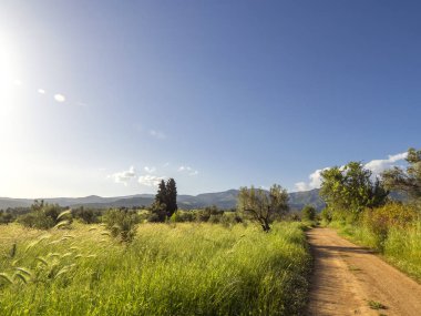 Köyün panoramik manzarası Zeytin bahçesi ve bulutlu gökyüzü 