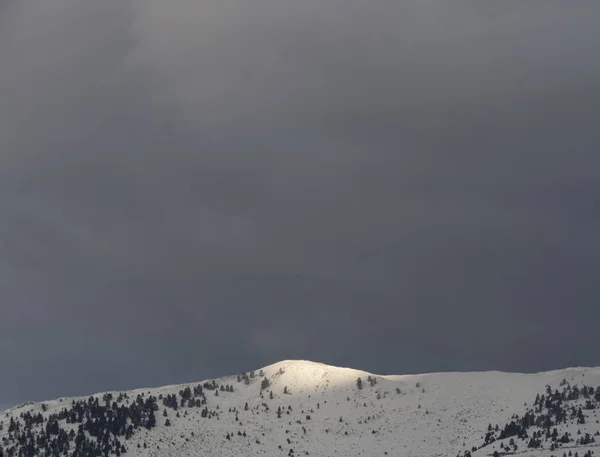 Panoramic View Snow Capped Peaks Mount Dirfys Spruce Forest Background — 스톡 사진