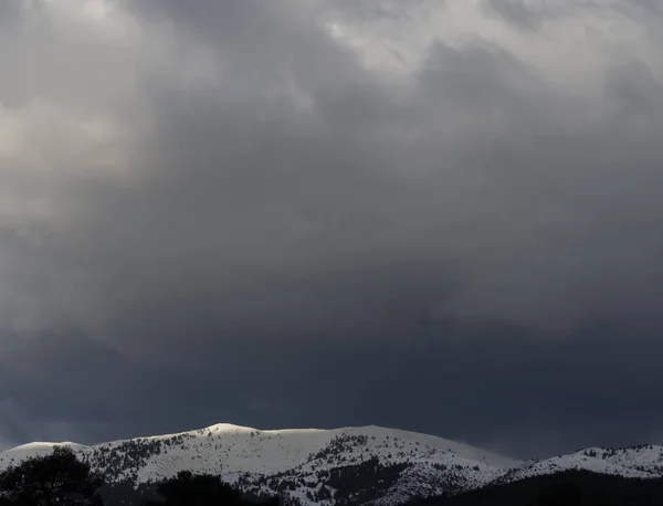 Vue Panoramique Sommets Enneigés Forêt Épinettes Mont Dirfys Sur Fond — Photo