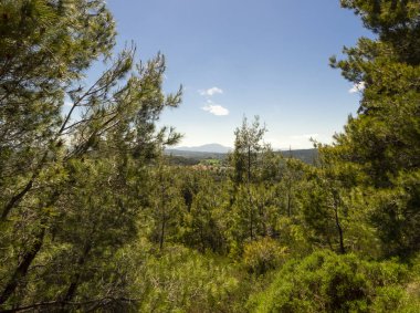 Panoramic view of a Greek village on the island of Evia from a pine forest on a Sunny day in Greece