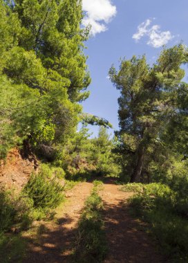Yunanistan'ın Evia adasında Agali dağ geçidinde yürüyüş parkuru