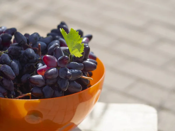 Recoger Uvas Moldavas Negras Para Vino Día Soleado Grecia — Foto de Stock