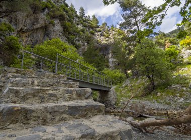 Yunanistan 'ın Evia Adası' ndaki dağlardaki dağlık nehirdeki köprü.