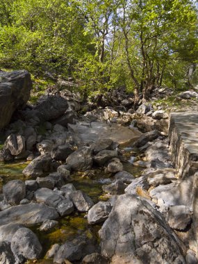 Dağlık hızlı Nehri ile temiz su Dirfys Evia Adası Yunanistan dağlarında ormandaki