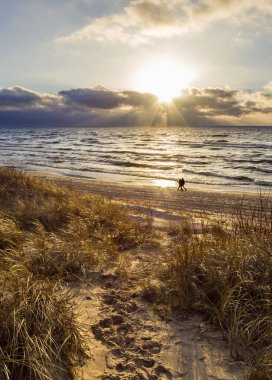 Litvanya, Palanga 'da güneşli bir günde Baltık Denizi' nin kar ve buz dalgaları altında panoramik manzaralı kumlu plaj
