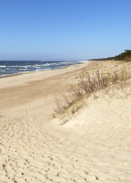 リトアニア リトアニアで晴れた日の午後の美しい砂浜冬の浜辺 — ストック写真