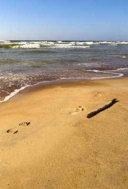 Ayak kum ve dalga Palanga, Litvanya Baltık Denizi'nin kum plajındaki güneşli bir günde acele üzerinde çıplak ayak izleri