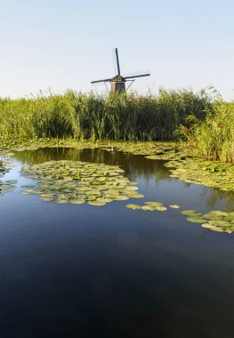 Sazlık doğal, Hollanda ile bir kanal kıyısında bir yel değirmeni