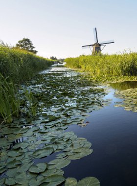 Sazlık doğal, Hollanda ile bir kanal kıyısında bir yel değirmeni