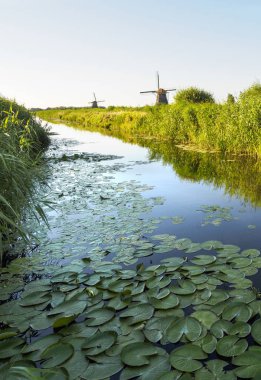 Sazlık doğal, Hollanda ile bir kanal kıyısında bir yel değirmeni