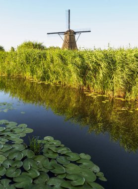 Sazlık doğal, Hollanda ile bir kanal kıyısında bir yel değirmeni